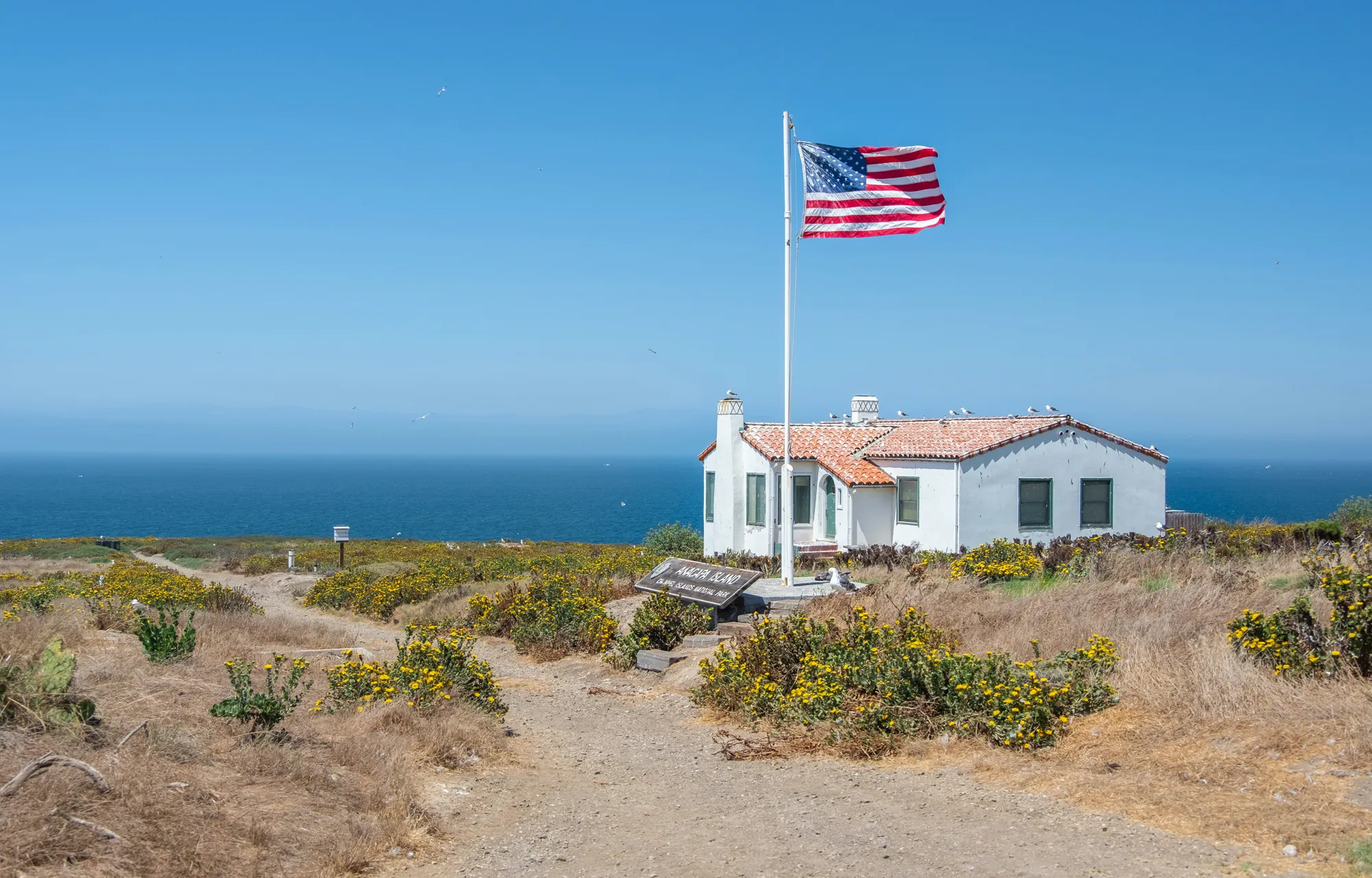 An American flag